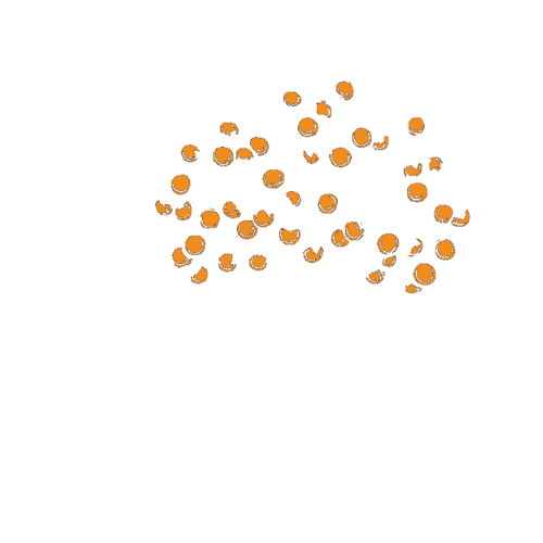 The Grove Bible Chapel Tampa logo