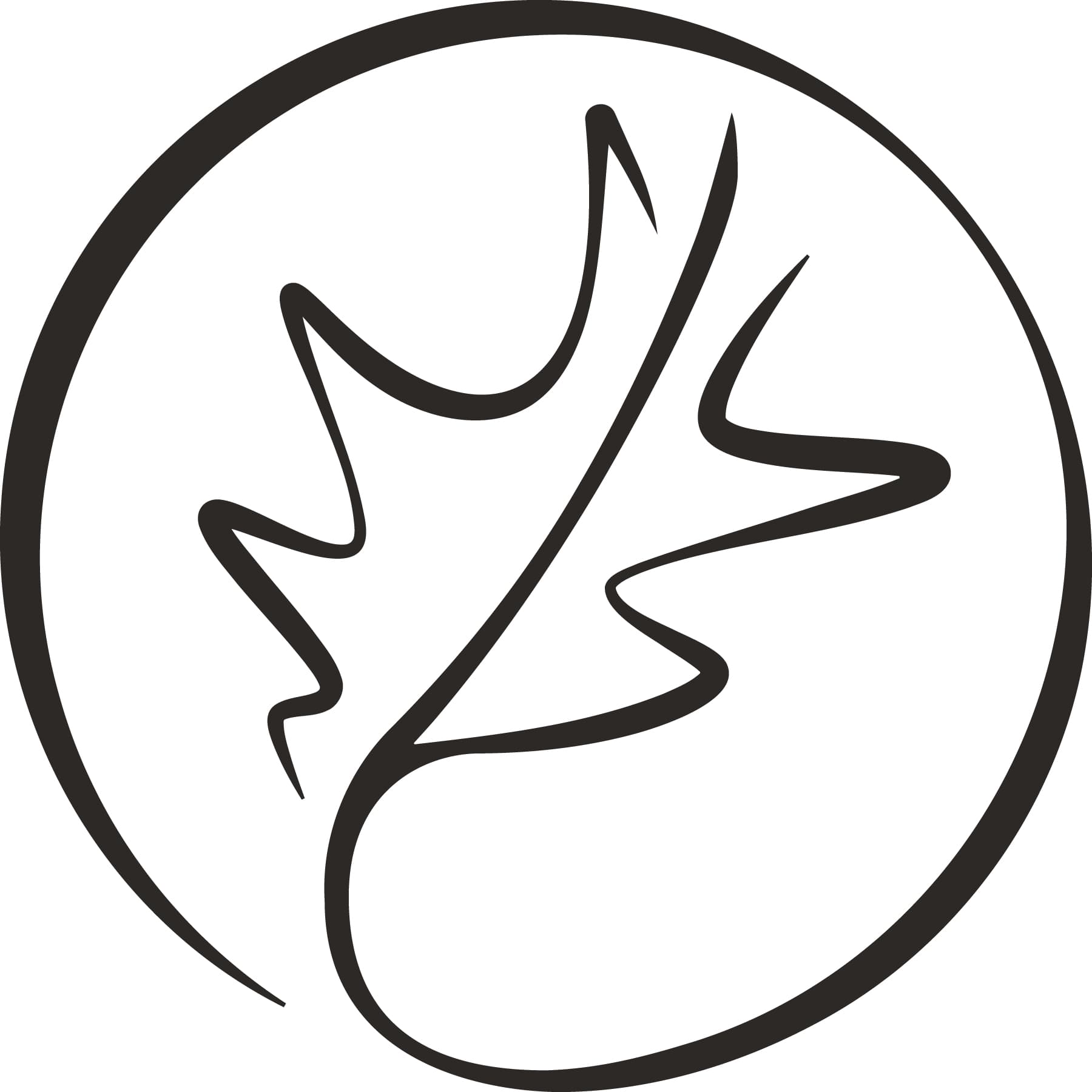 Cuyahoga Valley Church logo