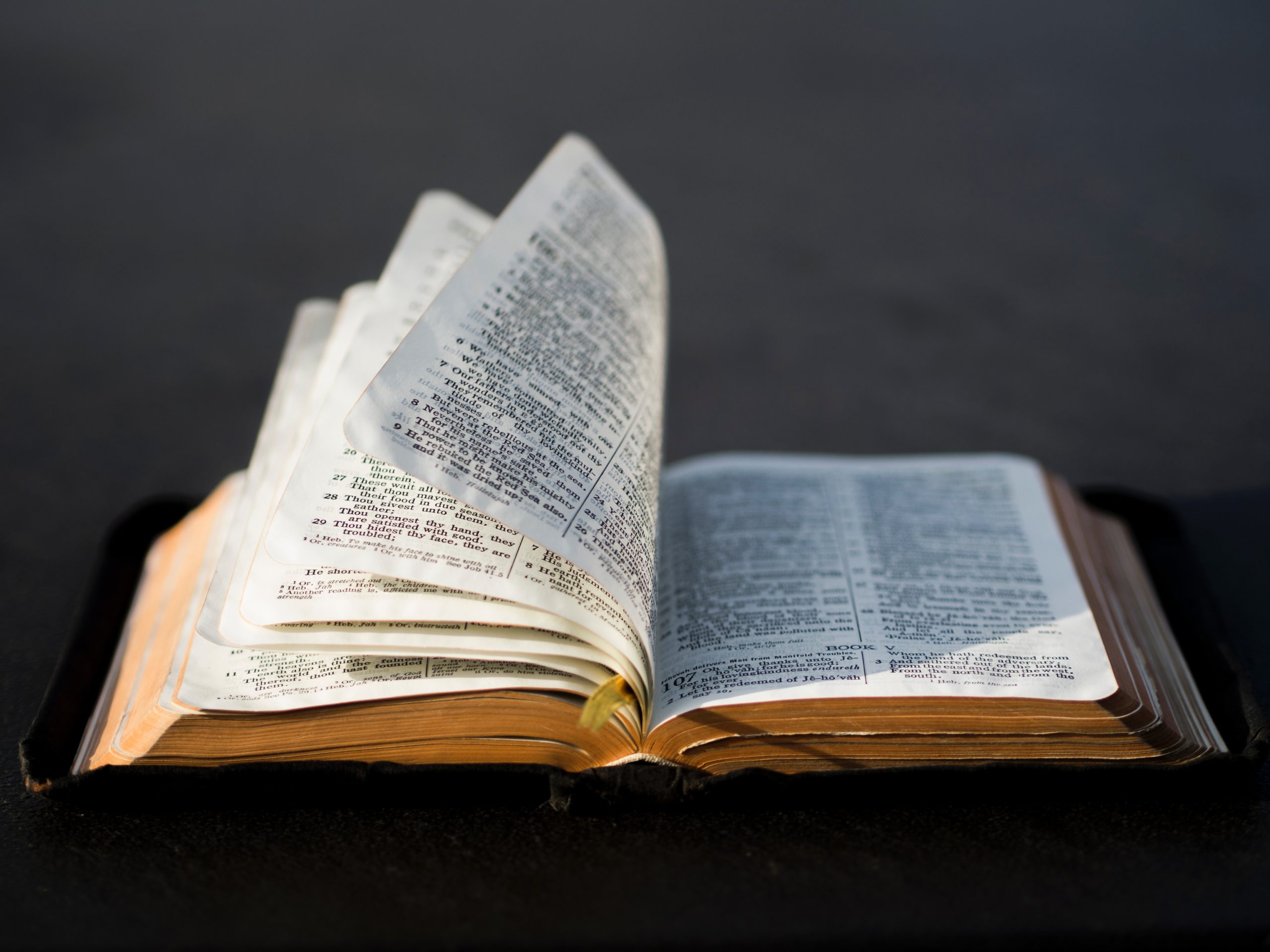Scriptures on Rejection